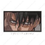 Levi Eyes - Attack On Titan
