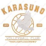 Karasuno Volleyball Club - Haikyuu